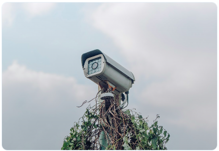 Cámara de seguridad profesional